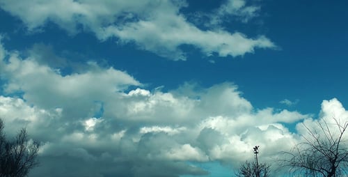 Soft Clouds and Plant