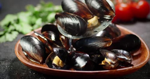 Fresh Mussels Poured onto Plate with Tomatoes, Cilantro
