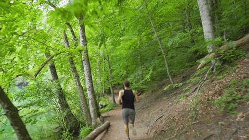 Running among the trees in the forest.