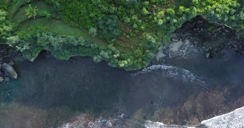 Sliding drone shot of coastline with green trees. Cliff border with sea. The south coast of Java wit