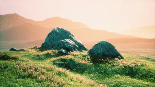 Wiese mit riesigen Steinen im Gras am Hang bei Sonnenuntergang
