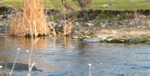 River Miniature Effect 2