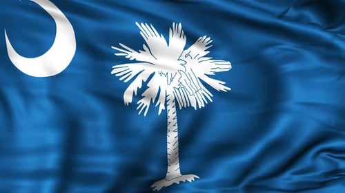Waving South Carolina State Flag Realistic Animation