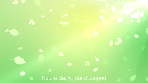 Contexte de la nature