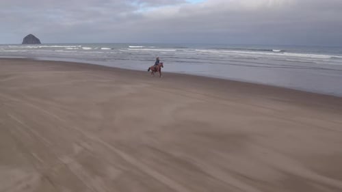 Aerial view of women riding horses at beach
