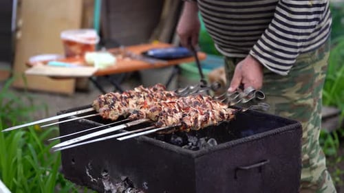 Barbecue Meat on Skewers, Beautifully Browned Meat on the Grill. A Pork Meat on the Grill in the