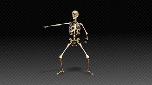 Broma de baile Skeleton