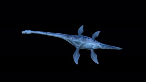 Elasmosaurus Dinosaur Top View 4K