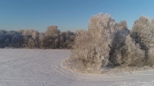Winter Landscape in Countryside