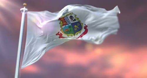 Waving Flag with Coat of Arms Against Sunset Sky