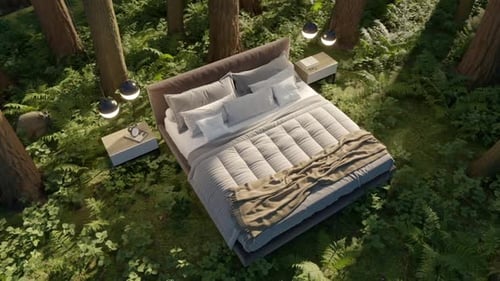 3d-render. A bed in an summer forest in a clearing among trees.