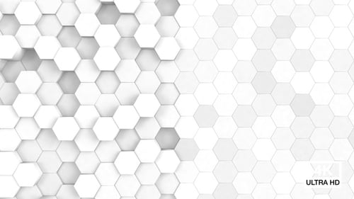 Hexagonal Background White
