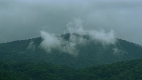 Green Mountains Shrouded in Ethereal Clouds