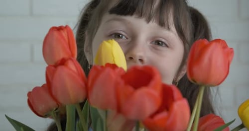 Spring tulips for child.