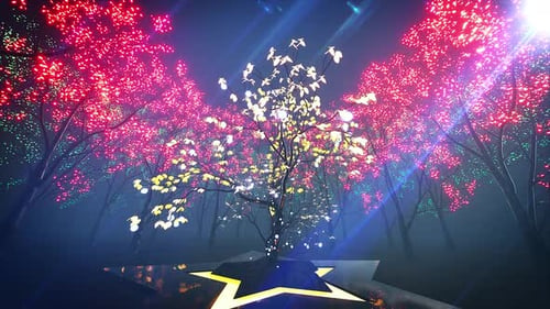 Bosque Mágico 4k