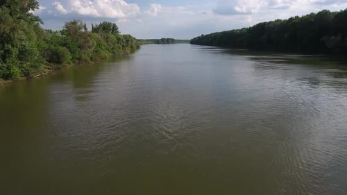 Rio Forest