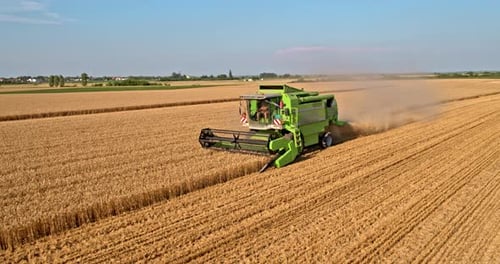 Combine Harvester Working in Golden Wheat Field