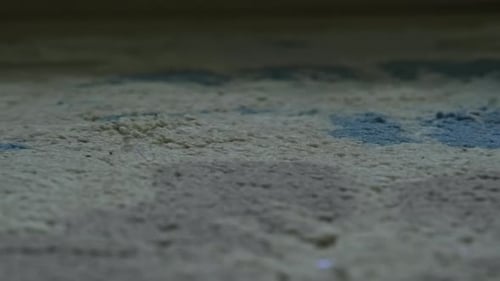 Carpet Rug