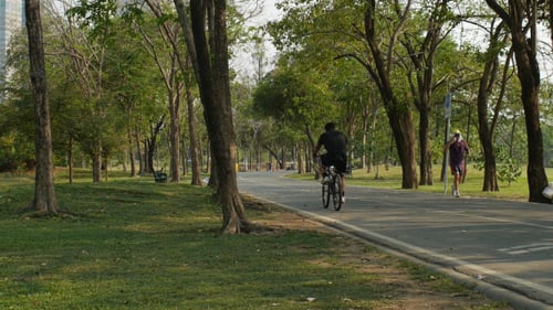 Exercise In The Park