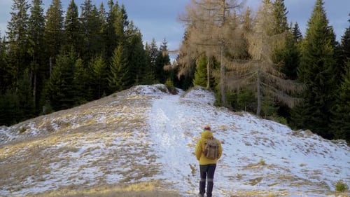 A Man with a Backpack Travels in the Forest in Winter