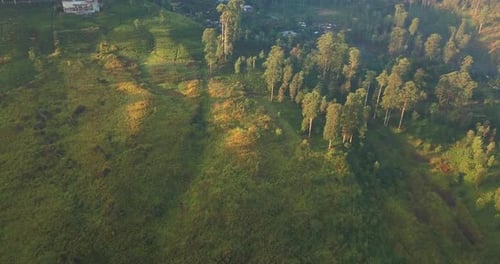 Aerial View of Hills with Tea Plantation Misty Morning in Sri Lanka.