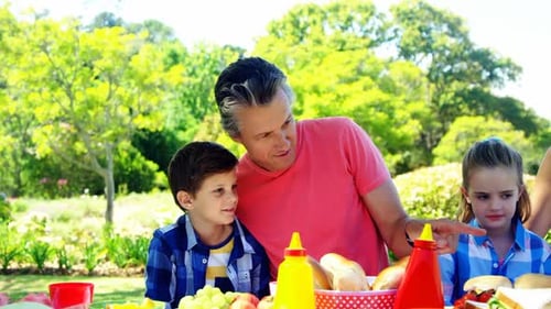 Happy family interacting with each other while having meal in park 4k