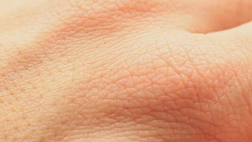 Macro View of Skin Texture and Hair