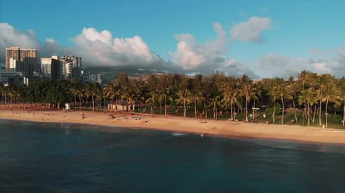 Aerial drone footage of Honolulu, Hawaii.
Beautiful real estate, buildings in the city.
Palm trees
