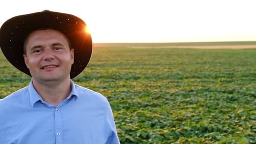 The Farmer Walks Through the Field Under the Sun's Rays and Examines the Young Crop