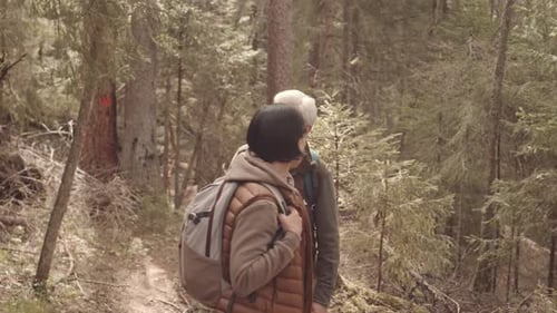 Adult Couple Exploring Forest Area while Hiking