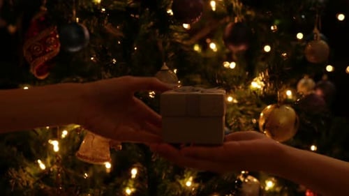 Gift Box