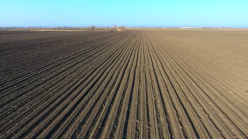 Plowed Field