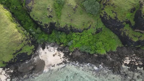 Tropical beach rock