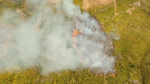 Wildfire Burns Through Grassland Aerial View