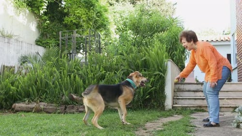 Woman Playing Fetch With Dog in Backyard