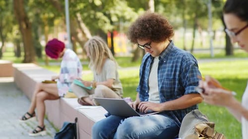 Young Adults Studying Together in Urban Park