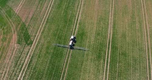 Tractor Spraying Pesticides on Wheat Field