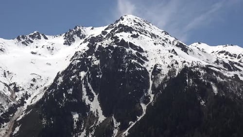 Treeless and Snowy Hill at Top of The Forested Mountain in Sunny Spring Day