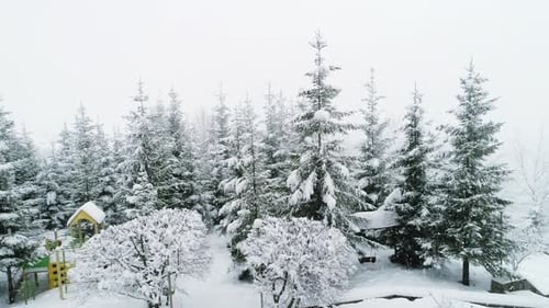 Winterkarpatenlandschaft, Weihnachtsbäume im Schnee