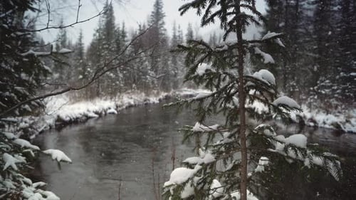Mit Schnee bedeckte Flussküste