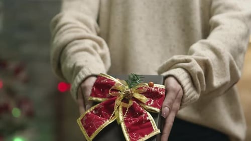 Gros plan de jeune femme tenant un cadeau de Noël