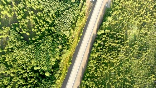 Vogelperspektive über eine leere Landstraße ohne Auto zwischen Wald.