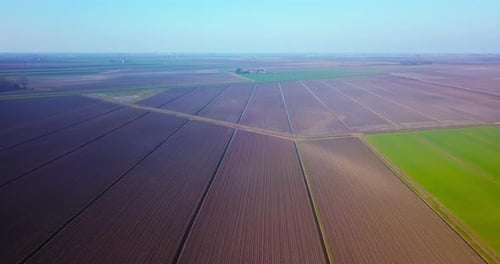 Field with Narrow Irrigation Canals By Unseeded Terrain