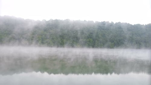Fog over the forest with the river. Beautiful morning landscape.