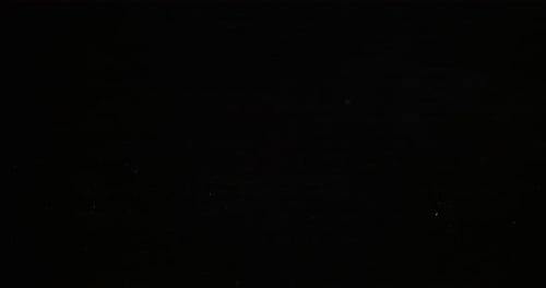 Couper l'oignon de poireau sur fond noir