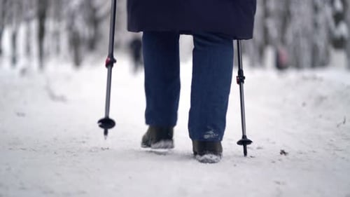 Adult Hiking with Walking Poles in Winter Snow