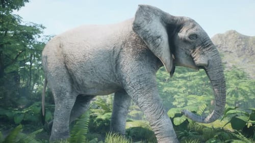 Realistic 3D Elephant Walking in Tropical Jungle Environment