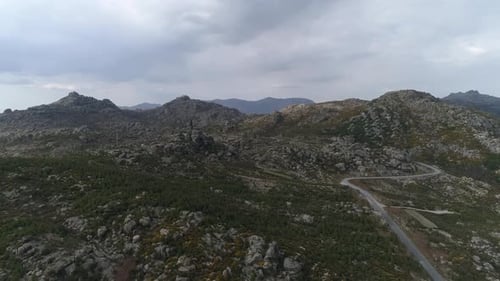 View of Calm Wildlife of Nature
