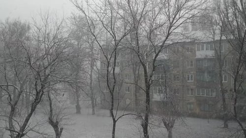 Heavy Snowfall in Quiet City Neighborhood