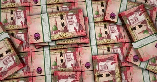 Saudi Arabia Riyal money banknotes packs surface